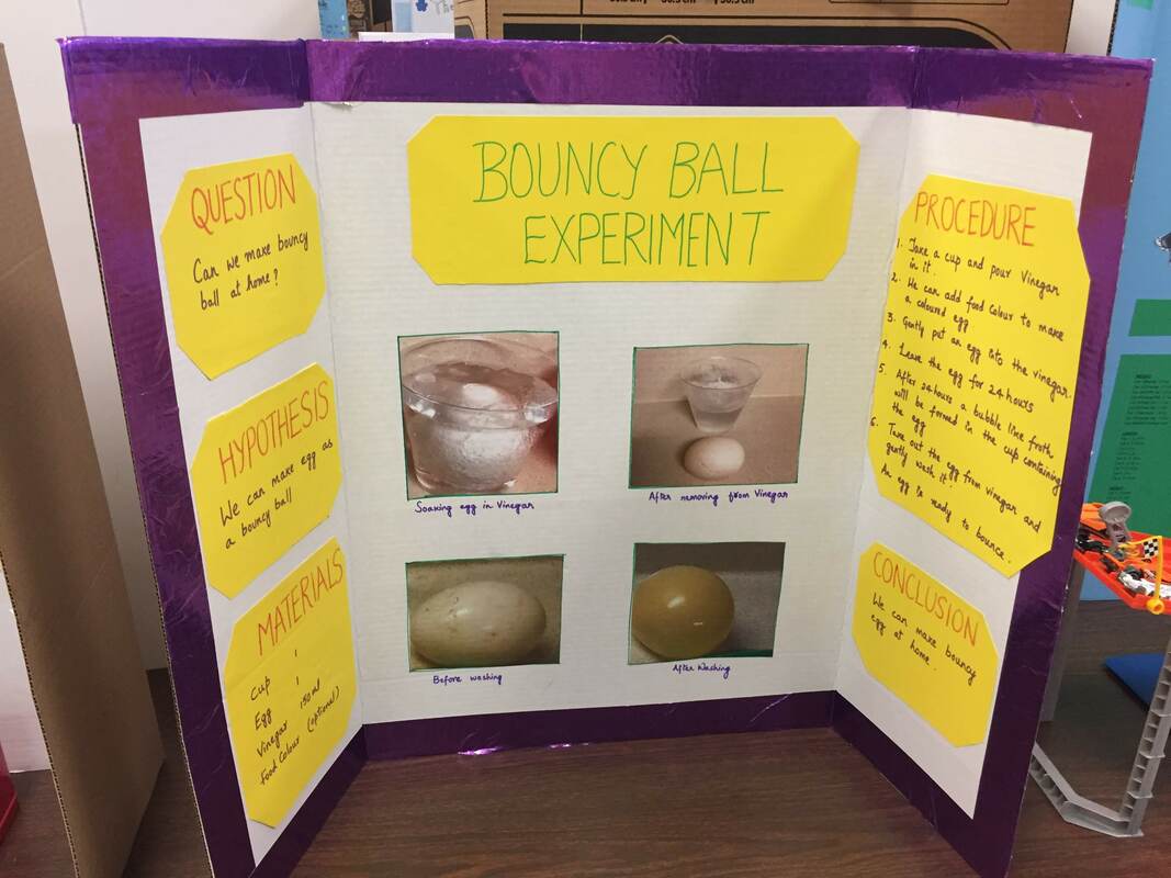 bouncy ball science fair project